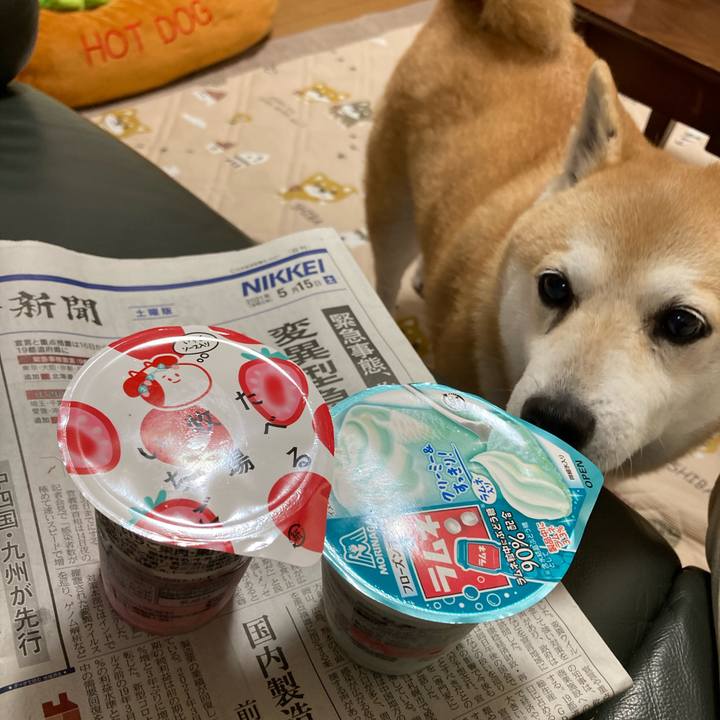 F7115a3a 0824 4b13 87b0 a413c6c5220f 1621255835731