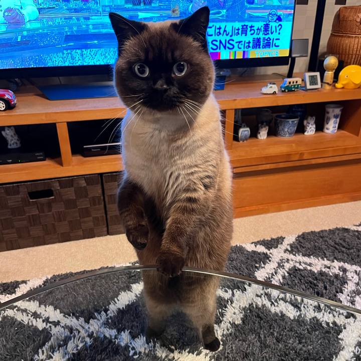 F71162a5 a18b 4630 8492 6839d298601e 1649073577931