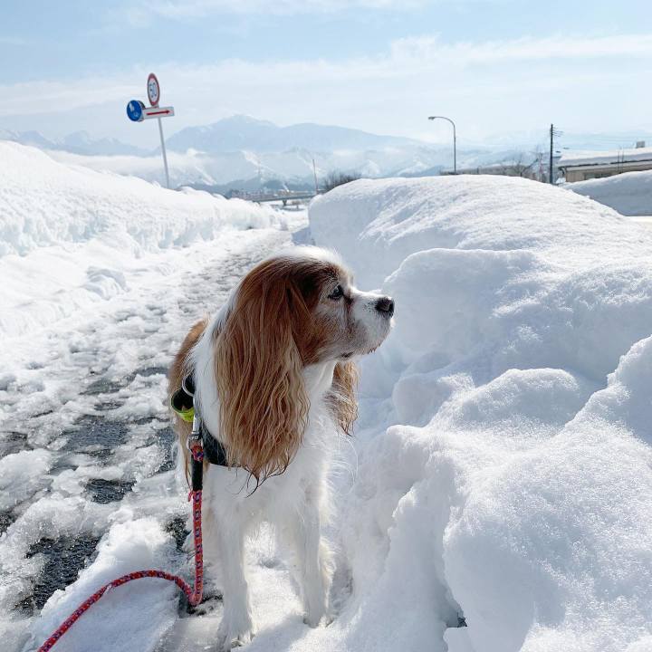 F7118e06 8948 41c4 9c8f b2ea59abccb9 1609819275613