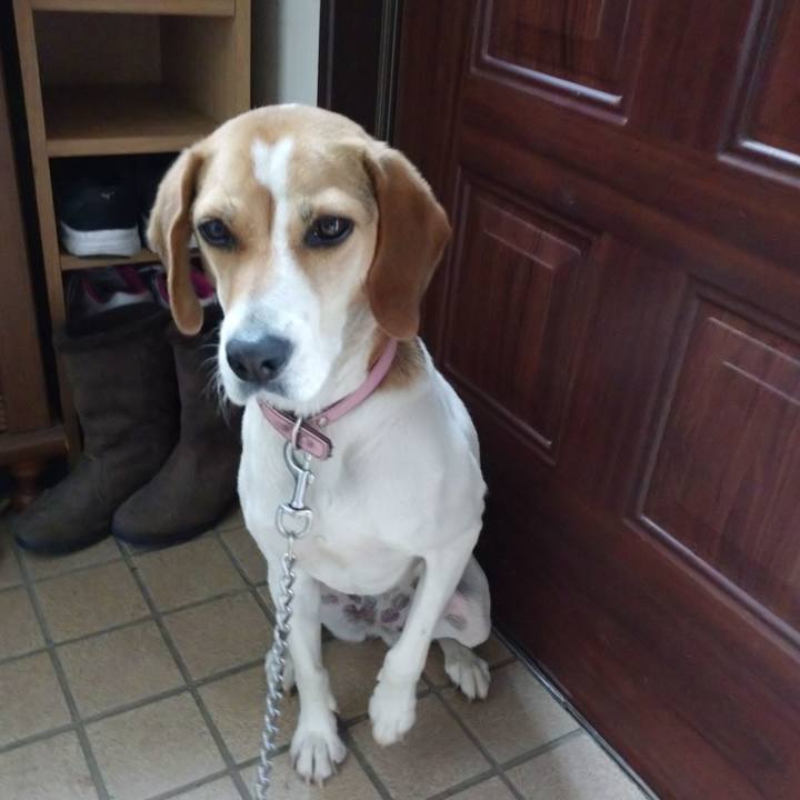 F711b4a2 b1c4 4d79 a22e 9ad54c769ad9 1593515722675