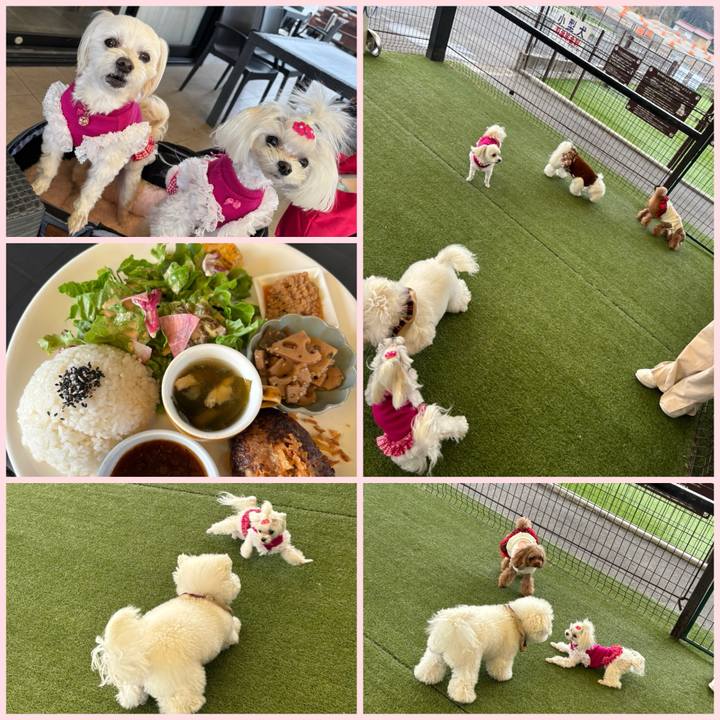 F711c51f 32db 423e bba9 42fc8f0efbf4 1740732377042