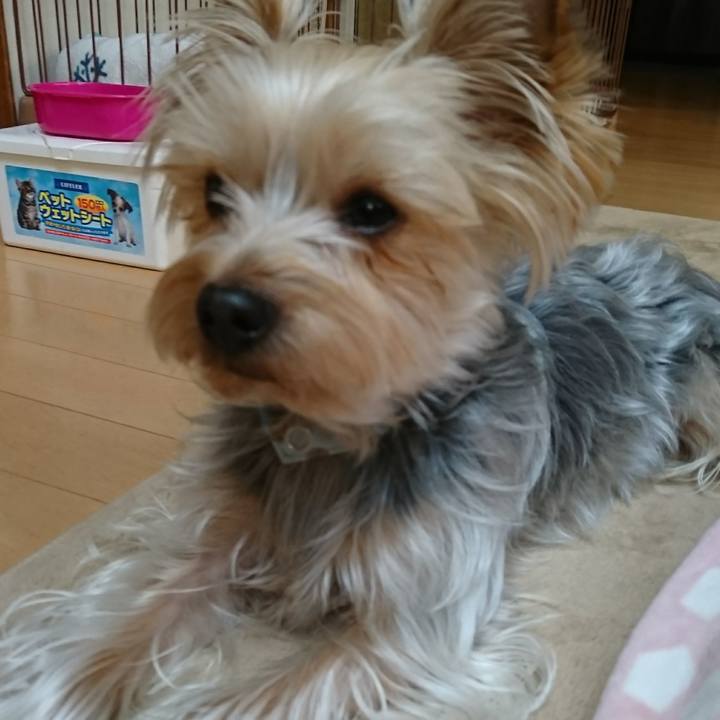 F712040a 36cf 4048 ae7b 71d0352b2818 1516069118976