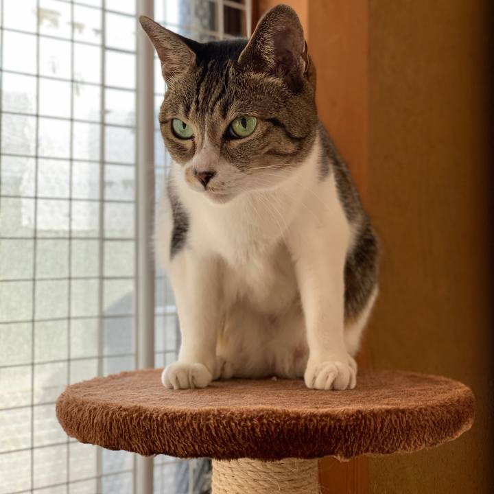 F7123698 ed51 4b2c ba45 6c49213df459 1572744127531