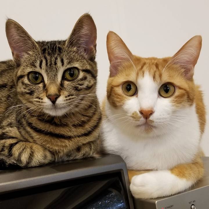 F7124d34 227e 40f3 9ece 954f2e827e9c 1547732782831