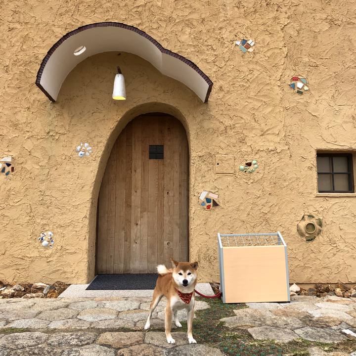 F712522c fc80 4ffe a7fc a0728ceb38ec 1542096316050