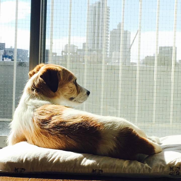 F712786a ff2f 4278 a168 16d06943eeca 1548472187812