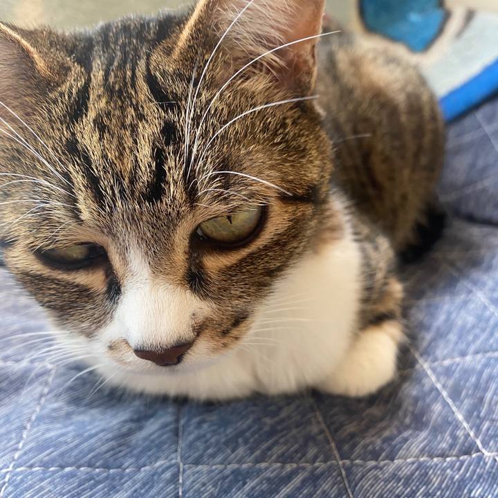 F71286f4 02a2 454e 8133 5b2f18f1c95b 1587871223251