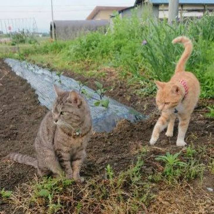 F7129833 ee6a 40c5 bfd2 99c442bc2ff6 1559335817766