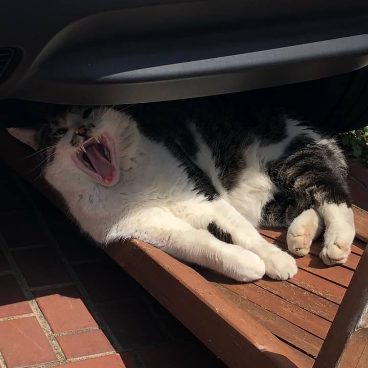 F712b0a2 9f1b 4e45 a54f 7c5f317ab338 1521876765889