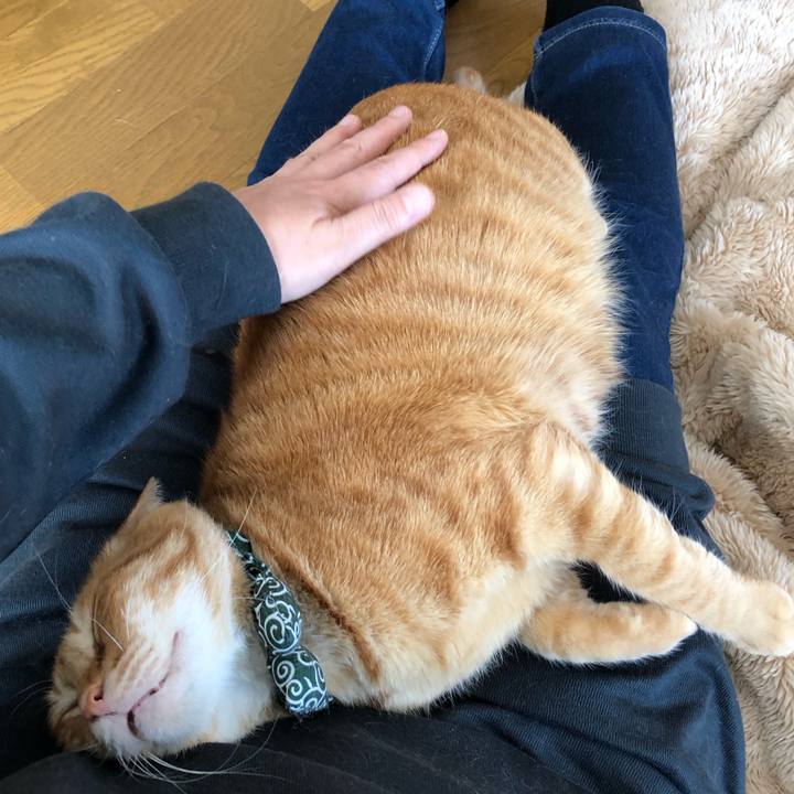 F712ccdb 3863 4016 8537 3e94e2947e5a 1579408239955