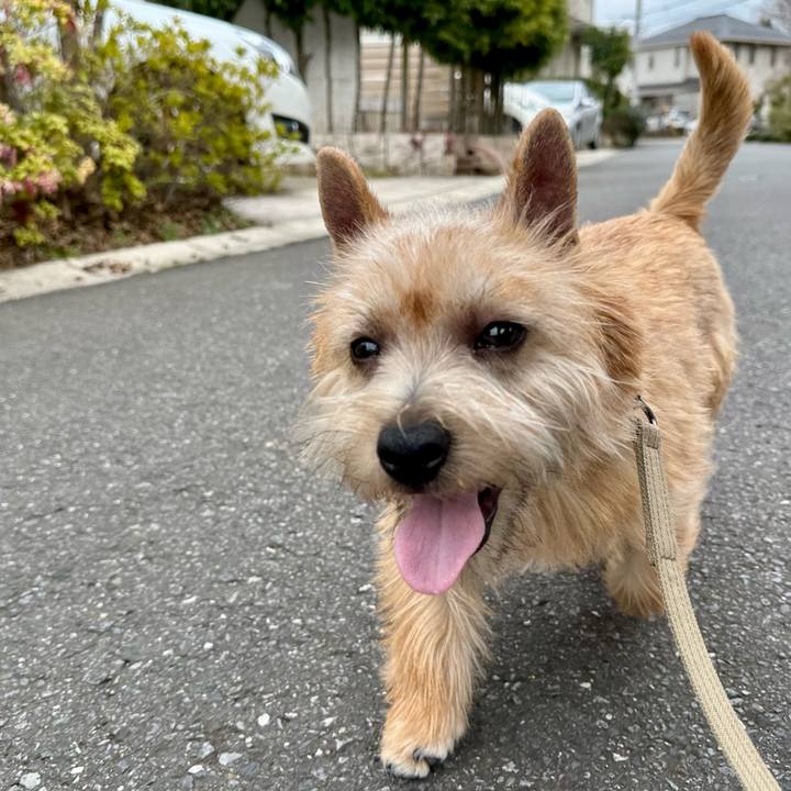 F712d5fd ef09 4ebb 9231 2b72a1ac50dc 1711289131948