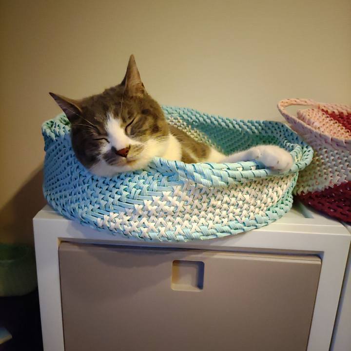 F7130b35 afec 4021 b2ca 37e4b71f9dc8 1684668958030