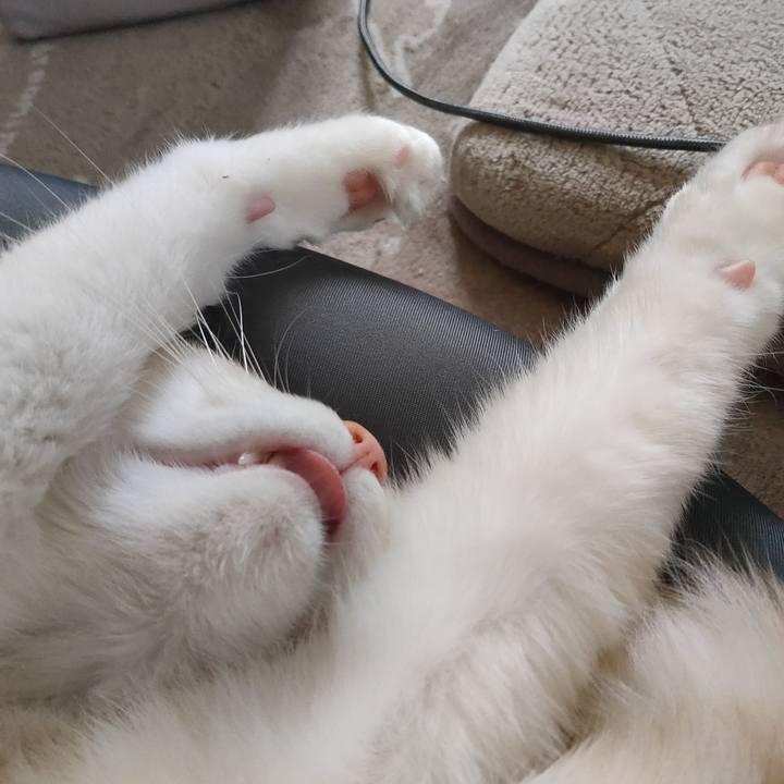 F713346d bcd3 4a3a a470 62fde6a81e93 1680767514042