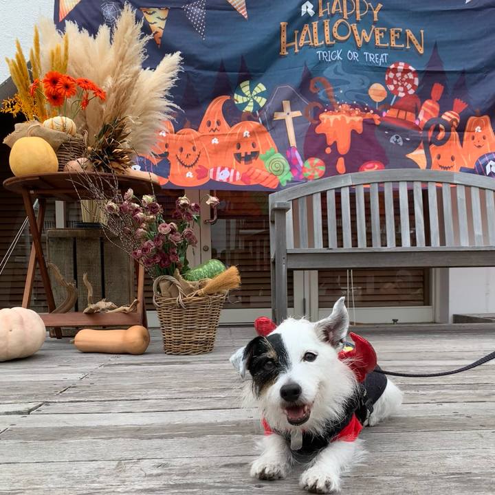 F713a342 adb9 42db 8703 b747592ffd84 1730001671575