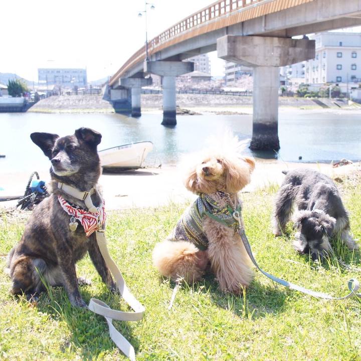 F713b905 feed 4e2c 8240 85fecab4f7d0 1554374161433