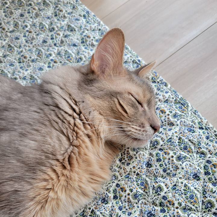 F713cb91 136b 4b59 ac5d 912f634d78a9 1659531575453