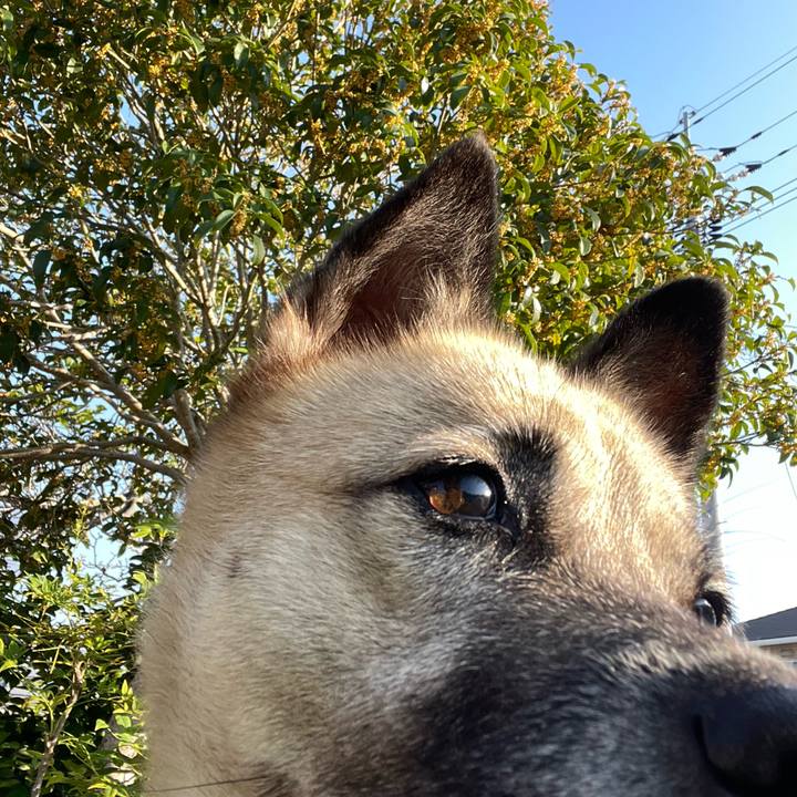 F713d18e 11a2 46f0 9099 9ee5e88c695e 1665818987273