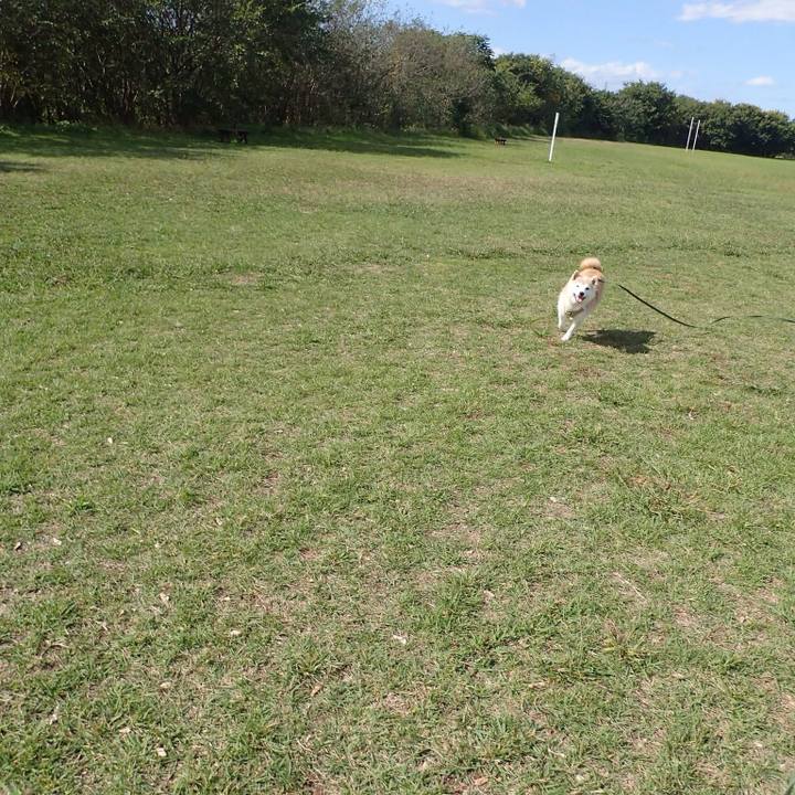 F713ee20 e6bb 47fc 8b1f a3c3088a0040 1761684584472