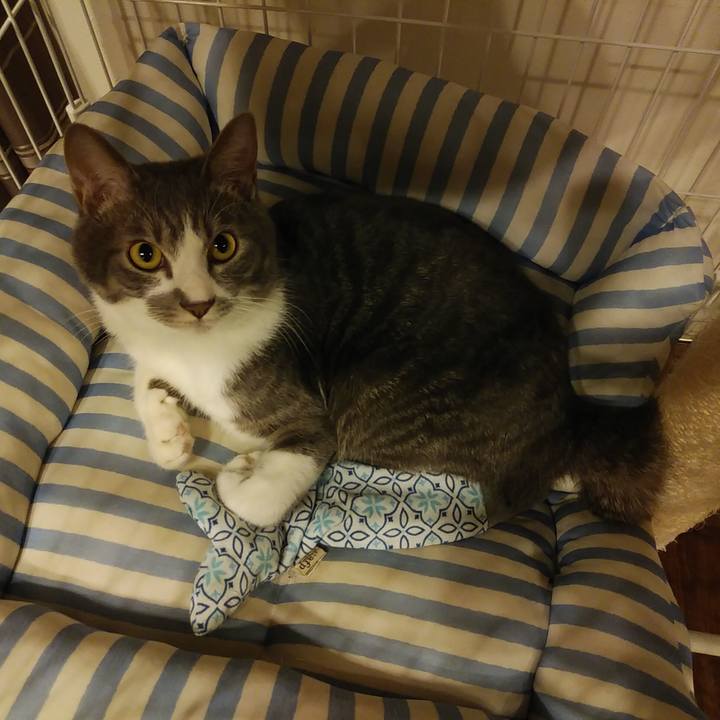 F713f601 8ad5 4437 b718 f0facc9b9b0d 1585505865157