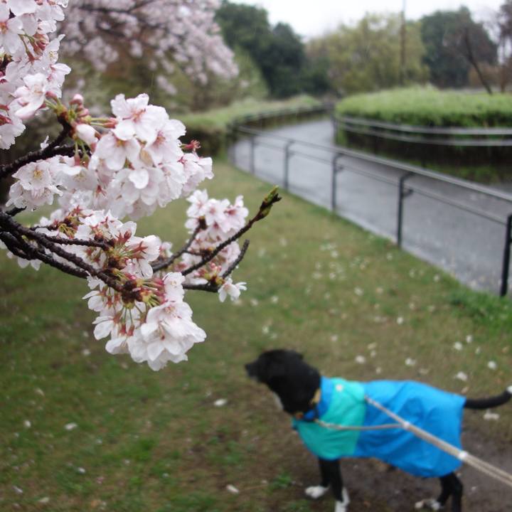 F71434b9 8ede 4107 ab4e 8c5ee53f6773 1679790702134