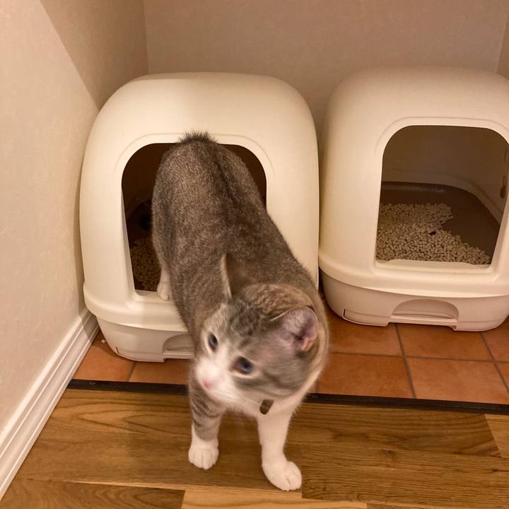 F7144723 26d4 4617 91f5 e23ade7d0598 1597069906251