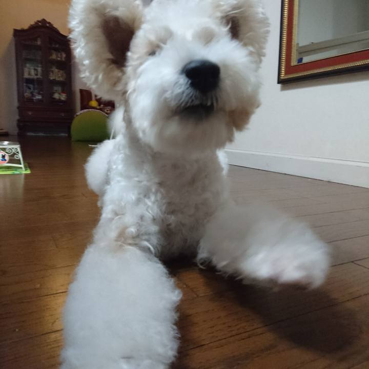 F71448d2 ebeb 40bd 86fe c4cc4e82e031 1520862950494