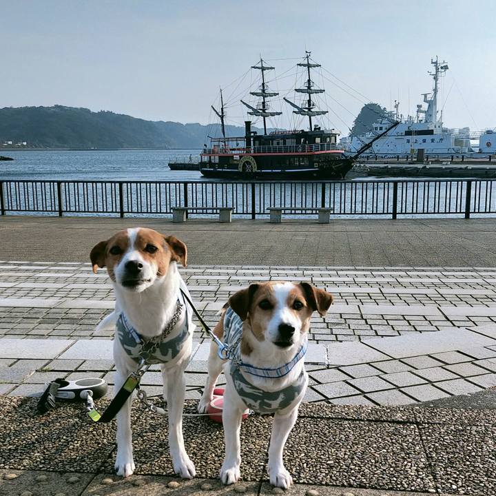 F71457a5 c85a 49cd b14e 5075a349c5d0 1768464906795