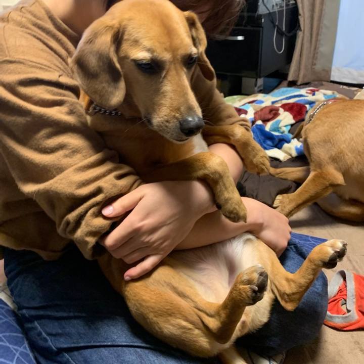 F71479be 4fed 4bf6 8cb5 44119a85bf86 1577316538458