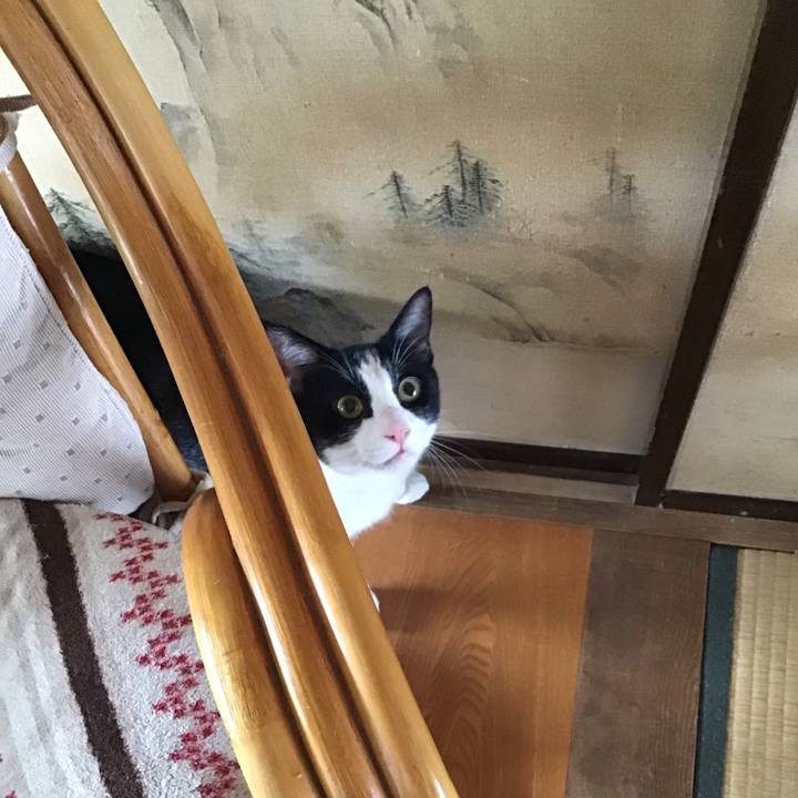 F714a302 b7de 47a4 95a6 b99e92a100f6 1657860998453