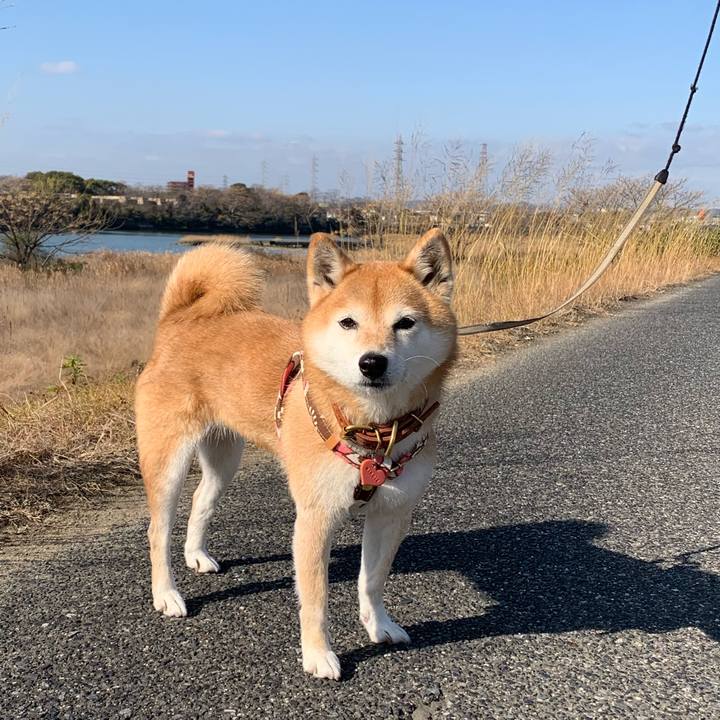 F714aa32 04ba 4296 aaf0 99bdd6228dd4 1609816858543