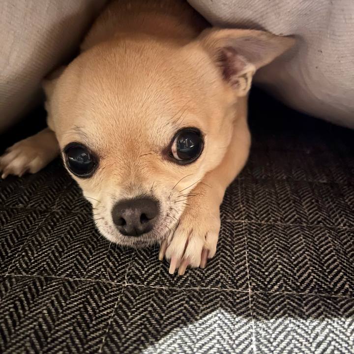 F714b1d3 7fa0 4089 aa90 0444312de774 1671608902540