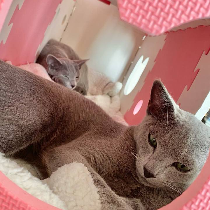 F714bb12 12a1 4941 8743 669438e45206 1611204994144