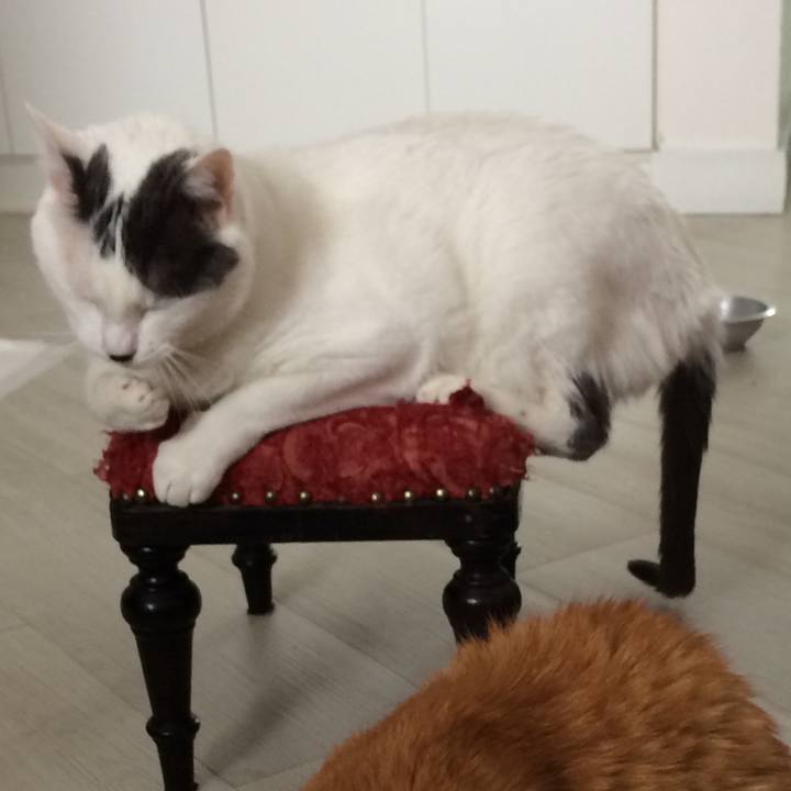 F714c9d4 9fa2 4297 b5fd a190377e57e2 1542140955913