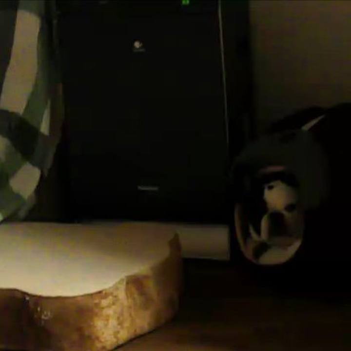 F7150075 3f61 4df4 accc 8b739d504cc9 1632557536955