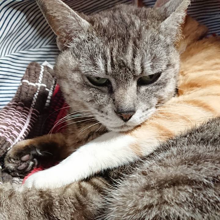 F71530c8 b2c6 4958 a0a5 0906decc4e8f 1562484448897