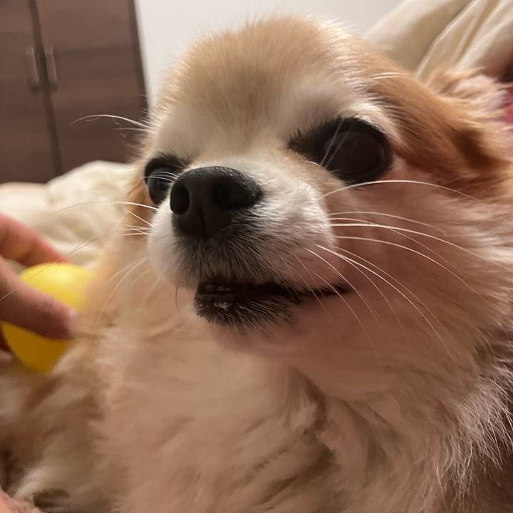 F7153e2e 3381 446e 98bf 58cd67be288b 1768057796973