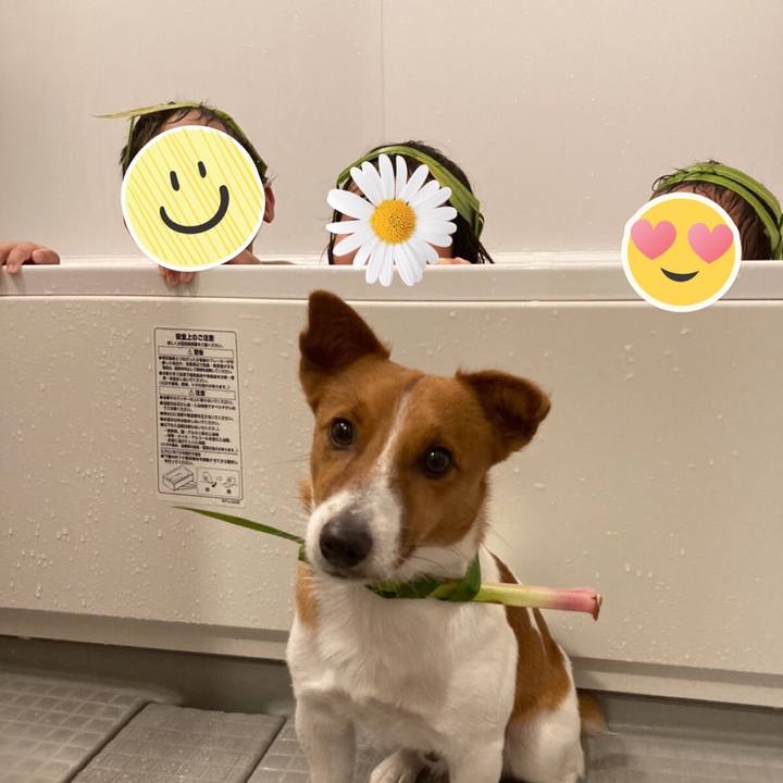 F715990e 25f8 443f bf54 2061453e75a1 1620213602046