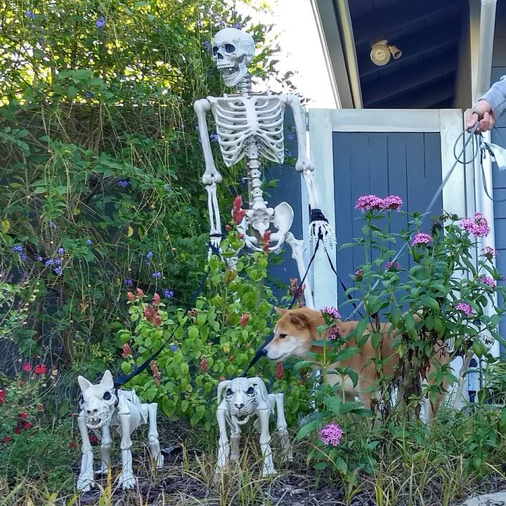 F715a7b5 d917 41d2 88dd 7b500245cf33 1507411008103