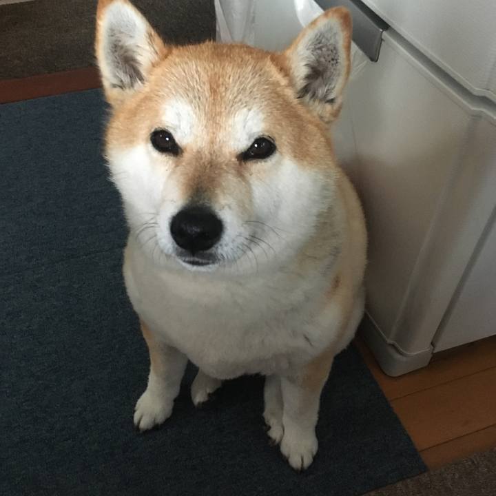 F715bf23 086d 4192 80bf 9018d6c546ad 1583630077418