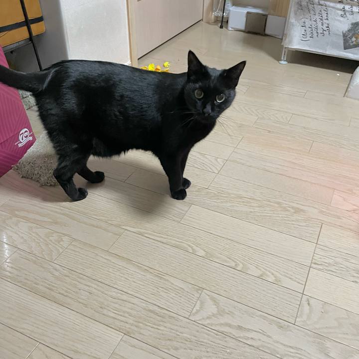 F715c620 3642 4894 8b74 6b36ea1fca52 1738243352977