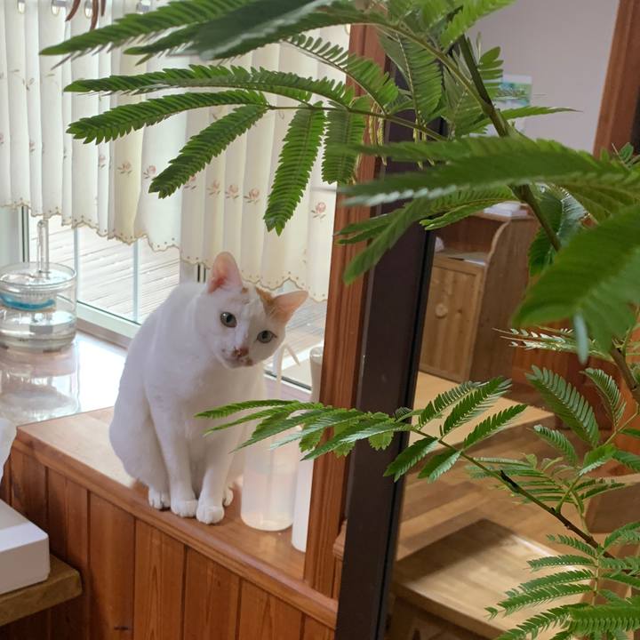 F715fe1c acd3 428f 9b06 ef80b8444aaf 1652220639579