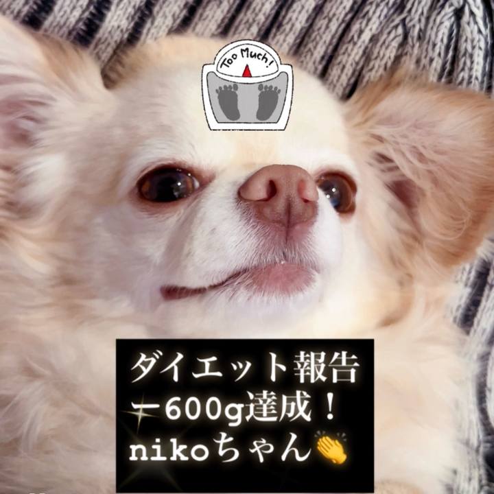 F71600e0 23c3 4f9c 82eb 4e3f9095f729 1754188657043