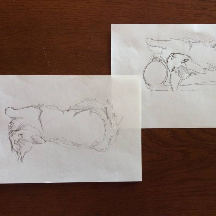 F716475d 96d0 48b3 975b 4184b237df86 1587515720869