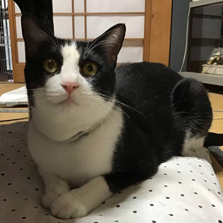 F7165ba4 aaf9 42dc 9e8d 56816bdc7a28 1657533820215