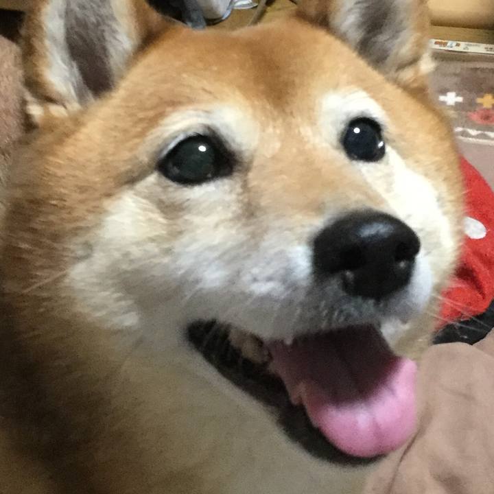 F7166853 3f4f 4b20 bb5e c405f1f9845e 1556182401303