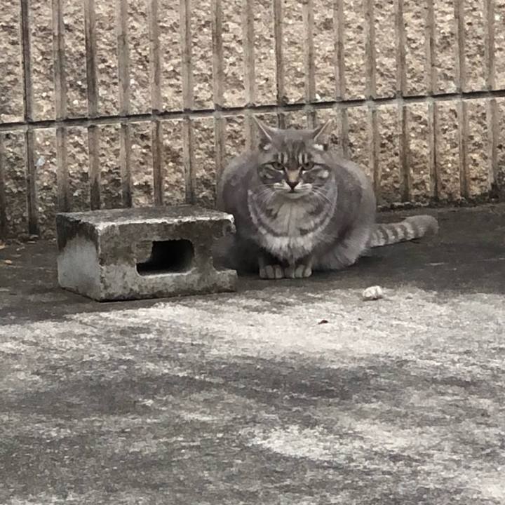 F716b86c 4de8 48b6 9ab7 3052080605ad 1577664839167