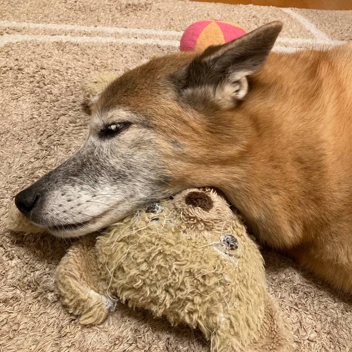 F716ba9a b9f8 4199 aa9a 1e20d3428800 1763593534409