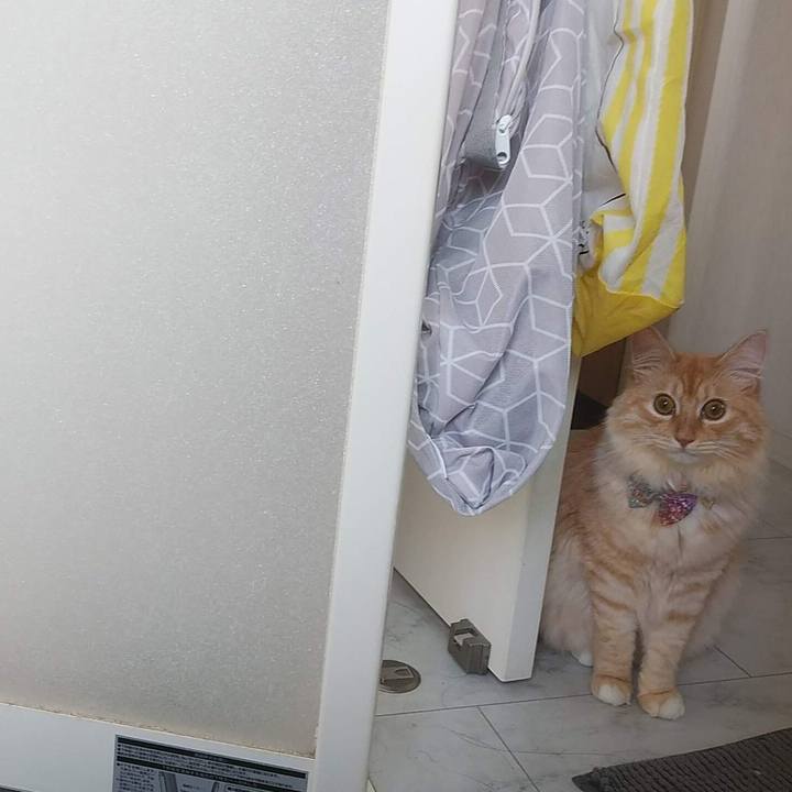 F716bcb6 5f05 41bc a0ec cb31eea11853 1632385942053