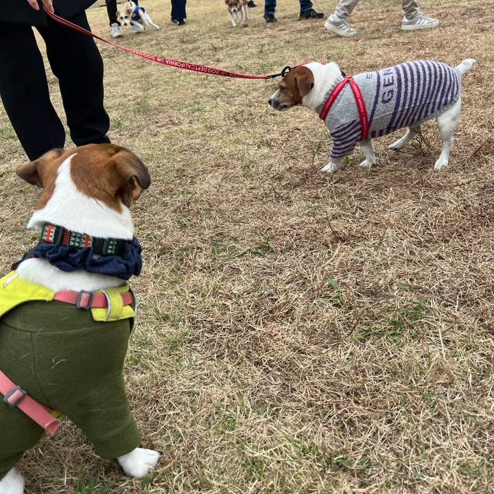 F716c525 924d 4029 8b28 2ef5f0364acc 1763885302123