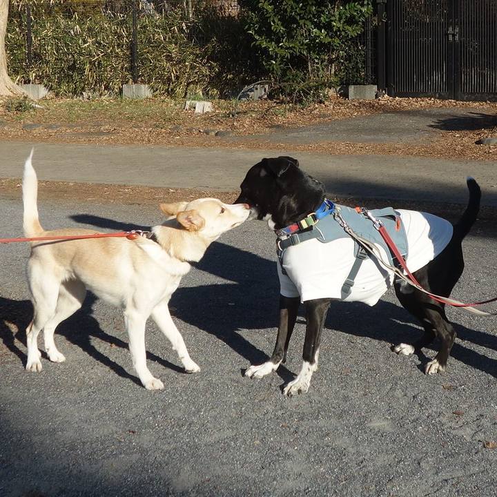 F716e751 b853 4baf a6cf d3b20af40b60 1706749476255